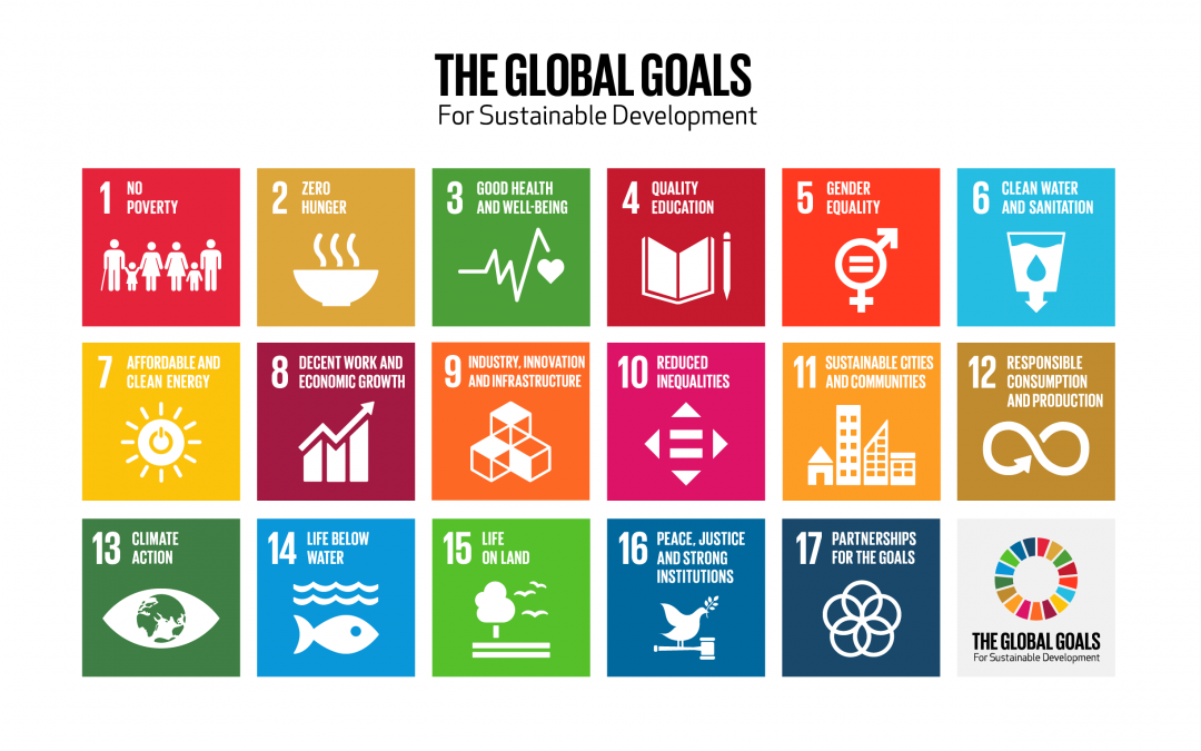 10 Countries Making The Most Progress On The UN’s Sustainable Development Goals