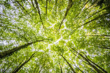 Sustainable Investing: Is sustainable investing still a good strategy?