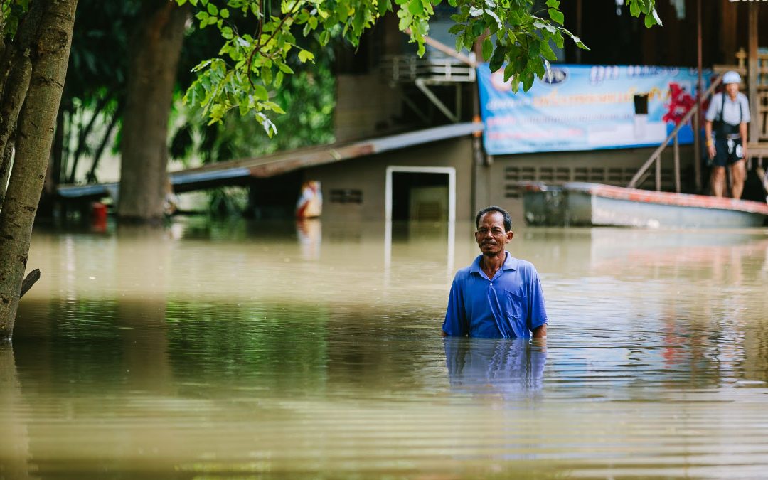 COP27 debrief: Milestones for climate-resilient development in Sharm el-Sheikh