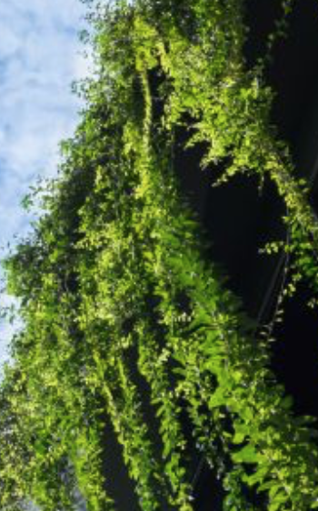 Mehr Rendite durch den Ausbau des ESG-Geschäfts