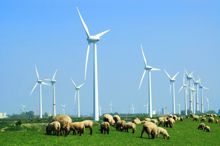 Ausbau der Windkraft an Land beschleunigt sich