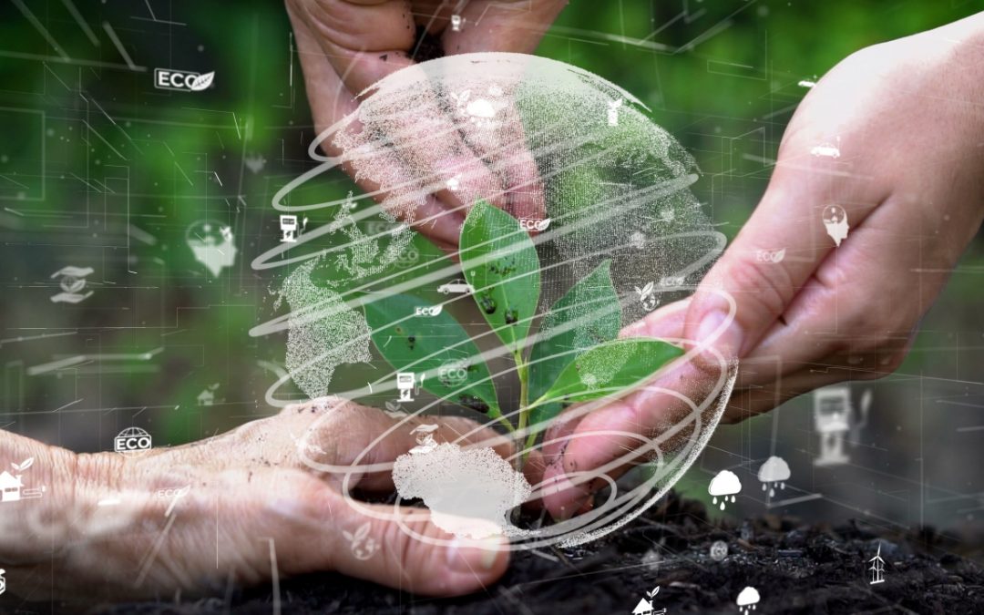 Nikko AM installiert ein Global Sustainable Investment Team