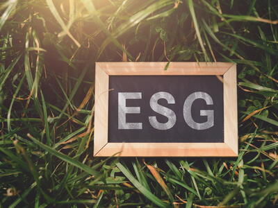 Warum ESG der Wirtschaft schadet