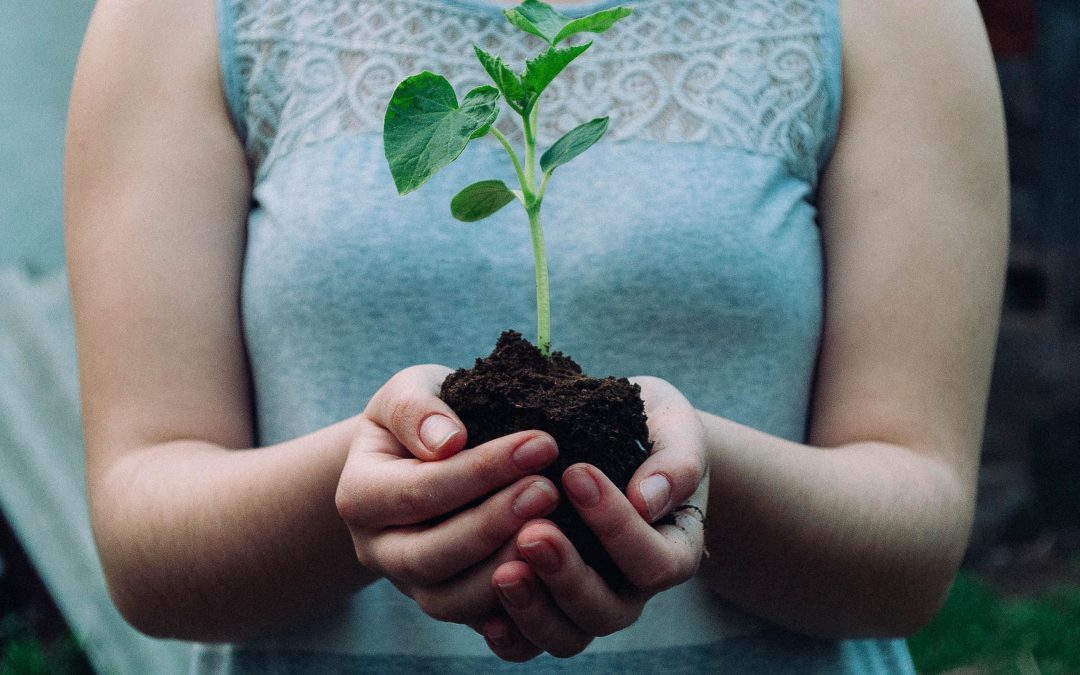 Let’s talk about ‘regenerative business’ not sustainability