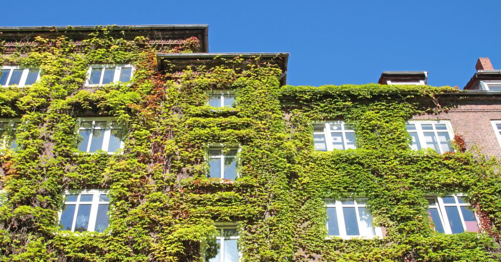 Green Buildings bleiben gefragt