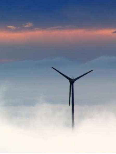 ECO-Rating: Die Top-Fonds im Portrait