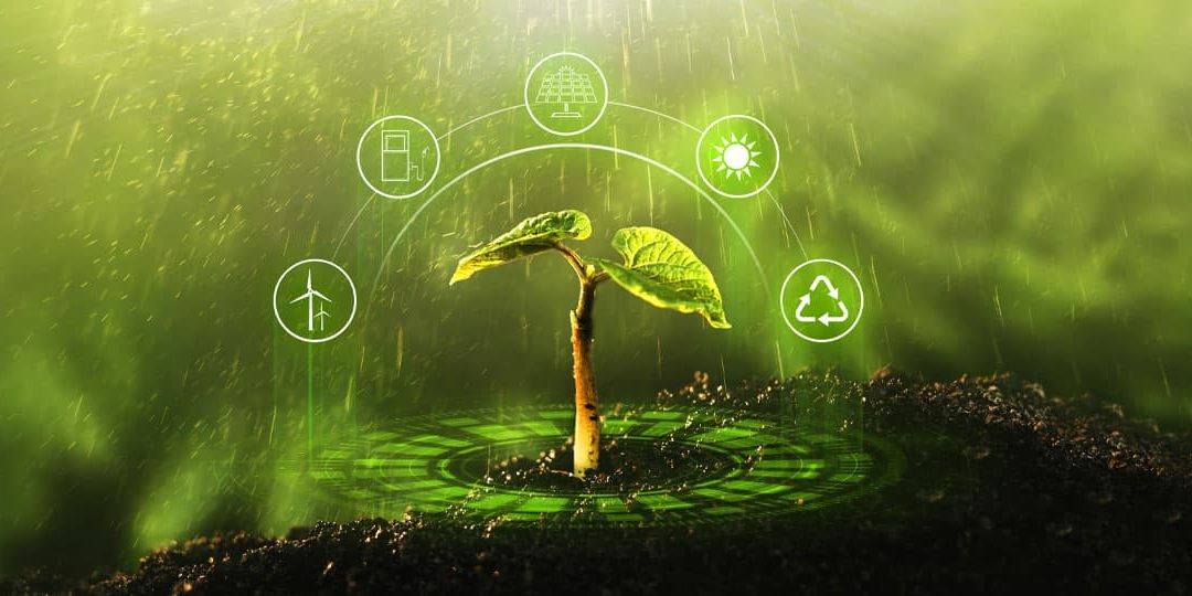 Environment – Social – Governance (ESG)