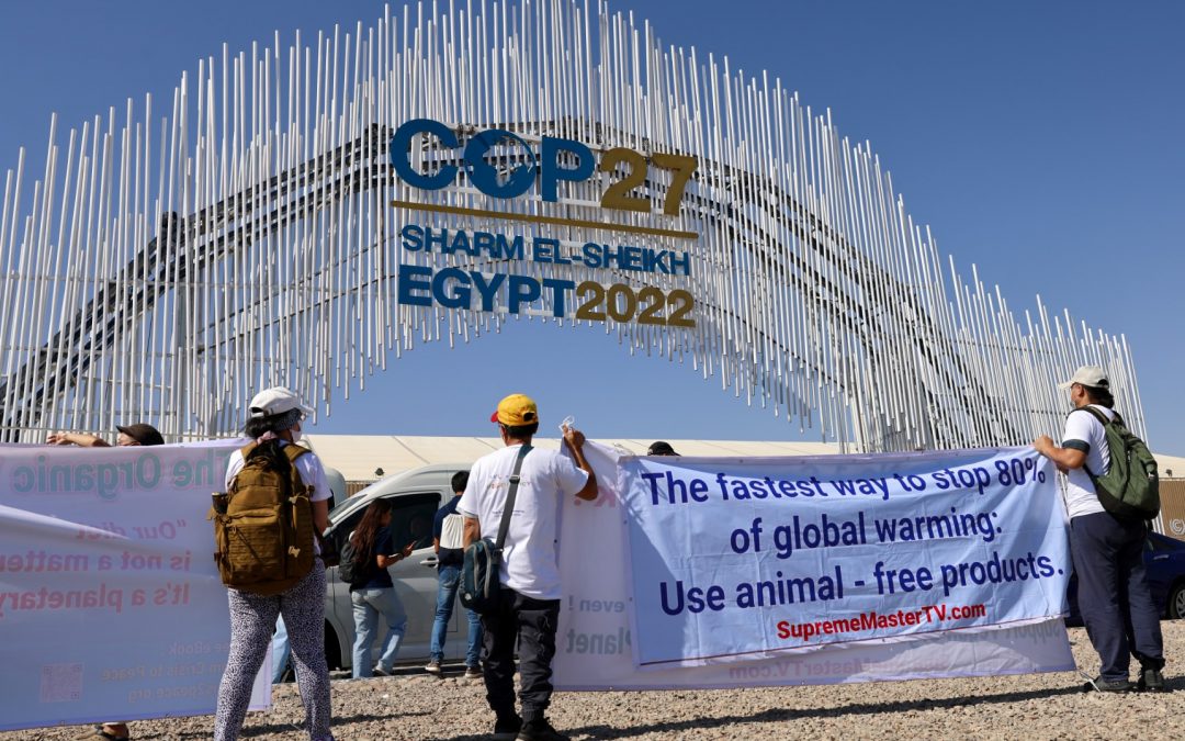 G7 faces pressure on fossil fuel pledges at Japan climate talks
