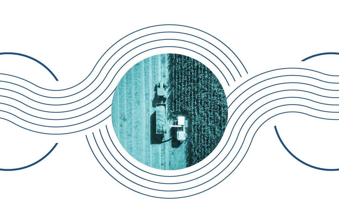 Private market strategies for small and medium investors