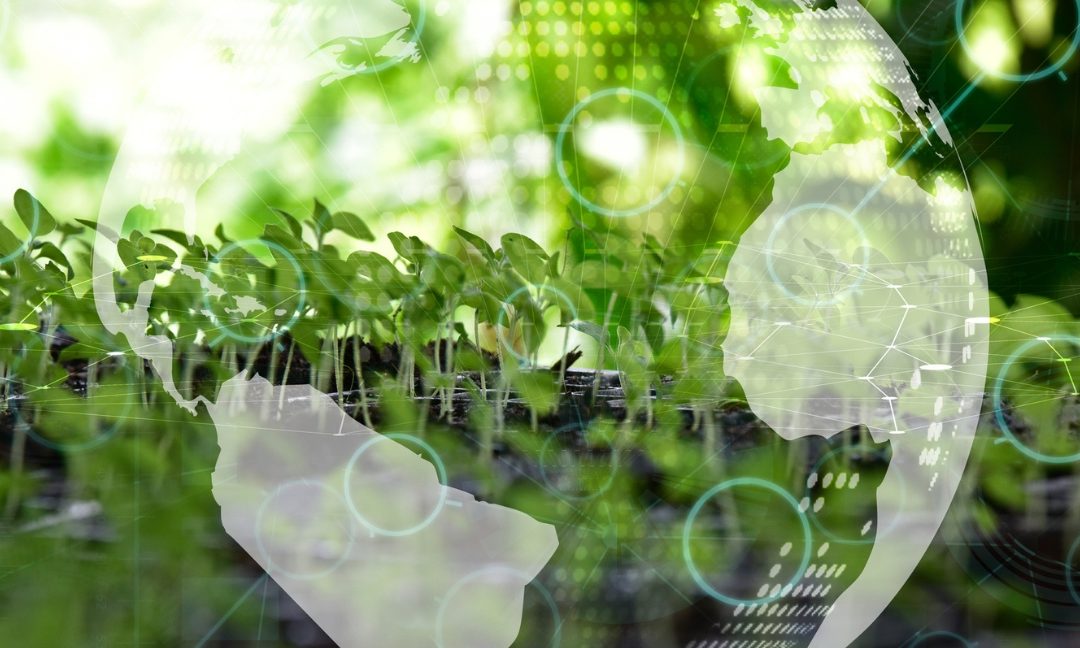 REGULATION  Reports: Commission considering scrapping Article 9 label