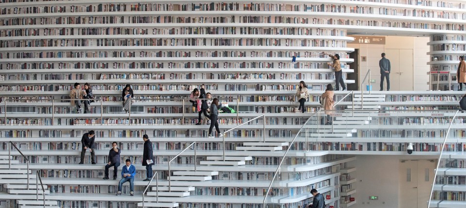 Kulturkampf um AI: Eine andere Art von Intelligenz