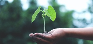 Purpose, Vision, Mission: Grundlage für Nachhaltigkeitsstrategie