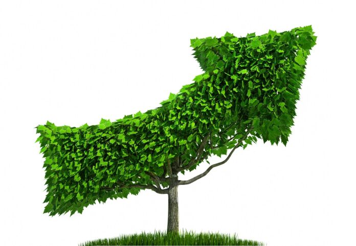 Green Finance – Klimaschutz mit Rendite