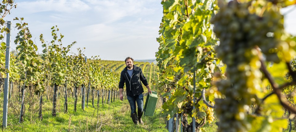 Was Liechtenstein mit seiner Private-Equity-Gesellschaft vorhat