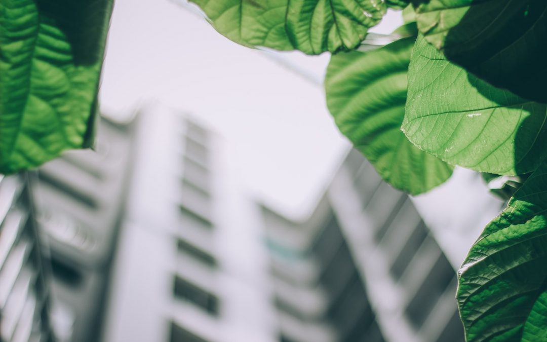 SIM gründet eigenen Asset- und Investmentmanager