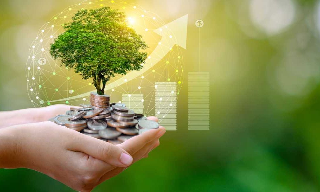 Higher ESG ratings linked to better investment returns