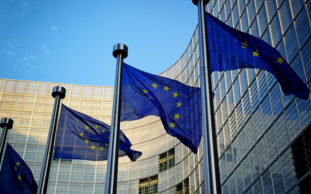 ESG-Kriterien in der Praxis: Nachhaltig oder nicht?