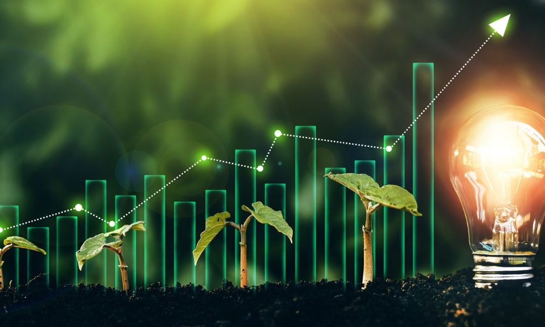 Institutional investors embrace low-carbon transitions