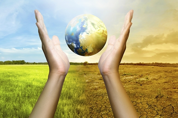 Exklusive Umfrage: So wichtig ist das Thema ESG für Fondsanbieter
