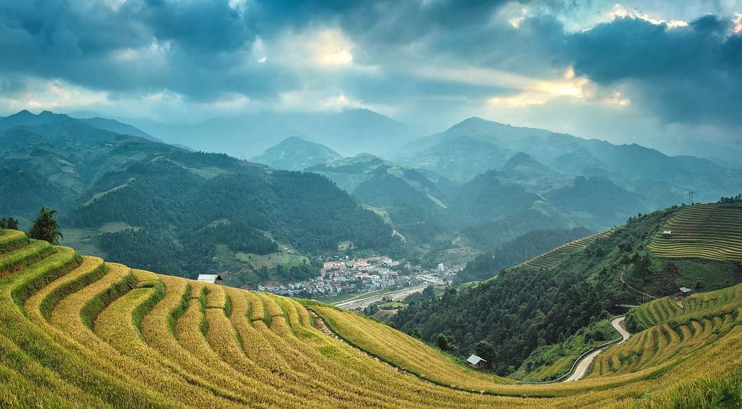 Kampf um Nahrungsmittel – Umweltprobleme der Landwirtschaft