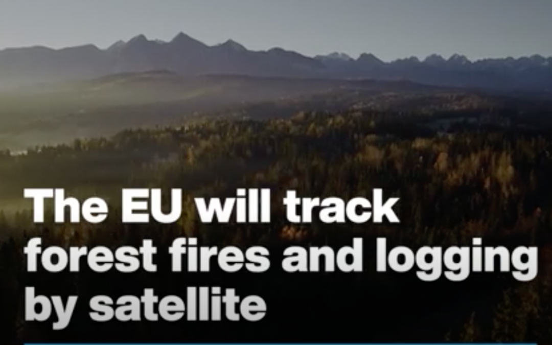 EU turns to satellite surveillance to protect its forests