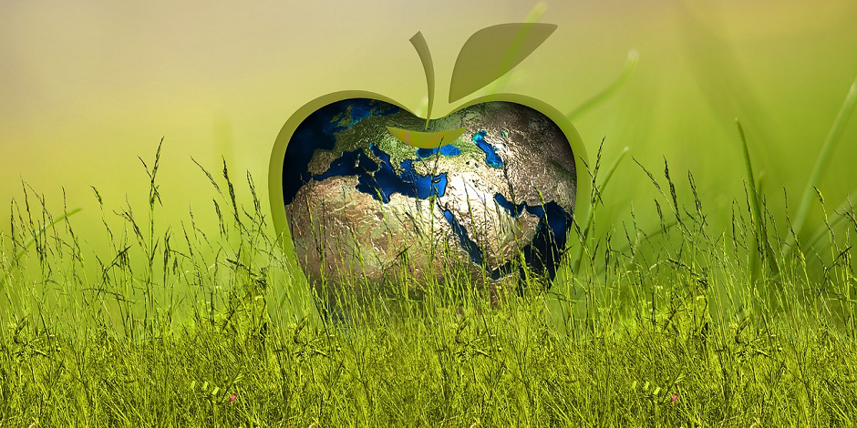 ESG: Das sind die besten Strategien
