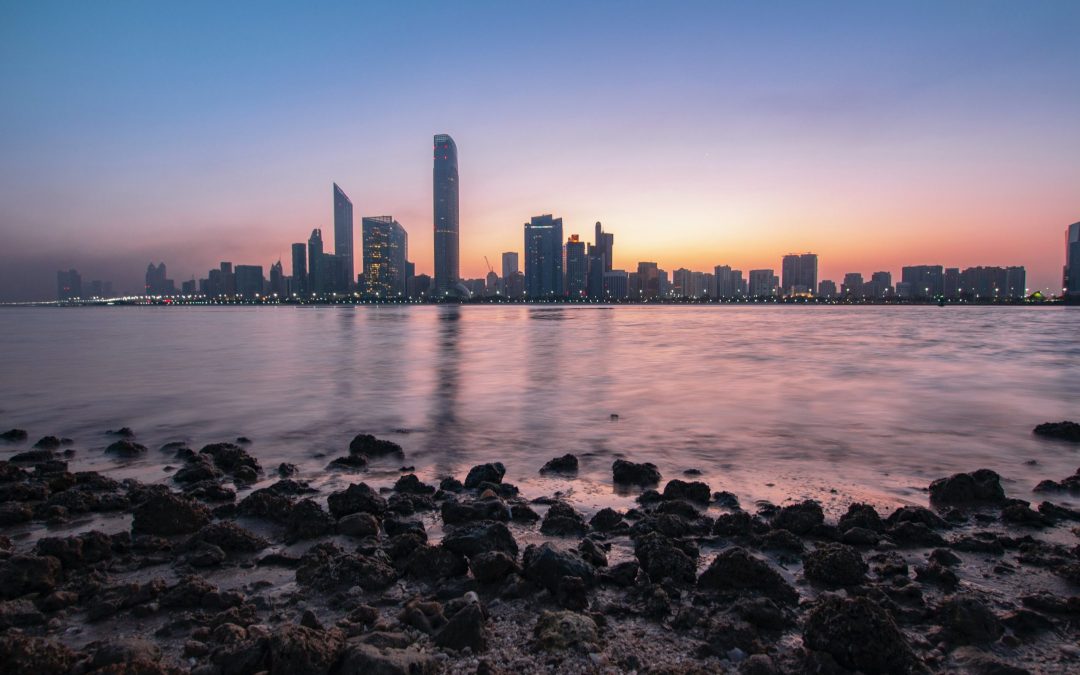 Investoren: So investiert seine Exzellenz Scheich Hamed bin Zayed Al Nahyan