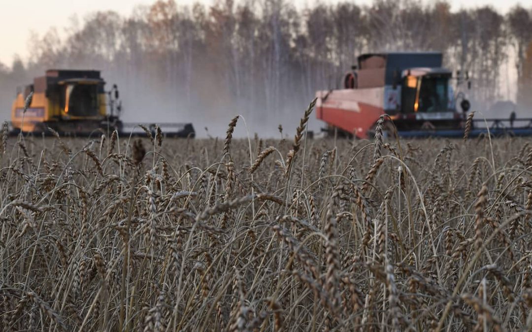 2024 wird ein Jahr der grossen Verunsicherung