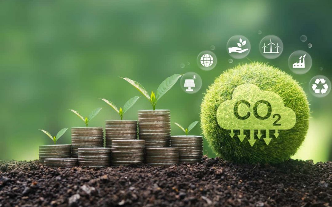 Agrarfinanzierungen in Zeiten der EU-Taxonomie