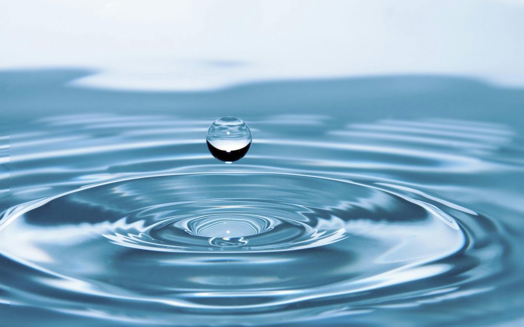 Wasserfonds: Renditepotenzial mit Impact – Fondsnews