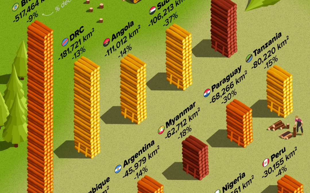 Ranked: Top Countries by Total Forest Loss Since 2001