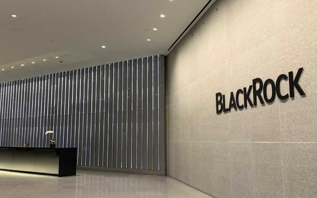 Activist hedge fund Bluebell challenges BlackRock’s leadership