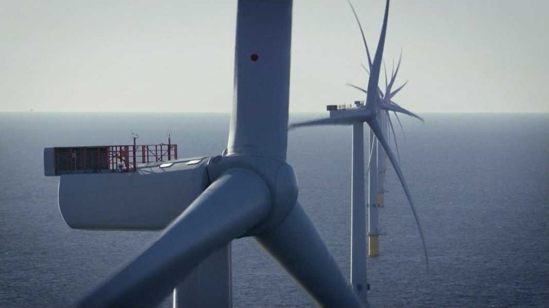 Studie: Große Offshore-Windräder sind besser für die Natur