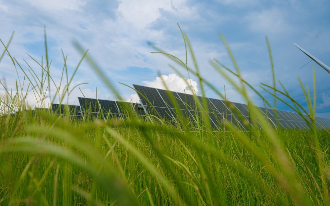 U.S. Solar Developer Pine Gate Raises $650 Million