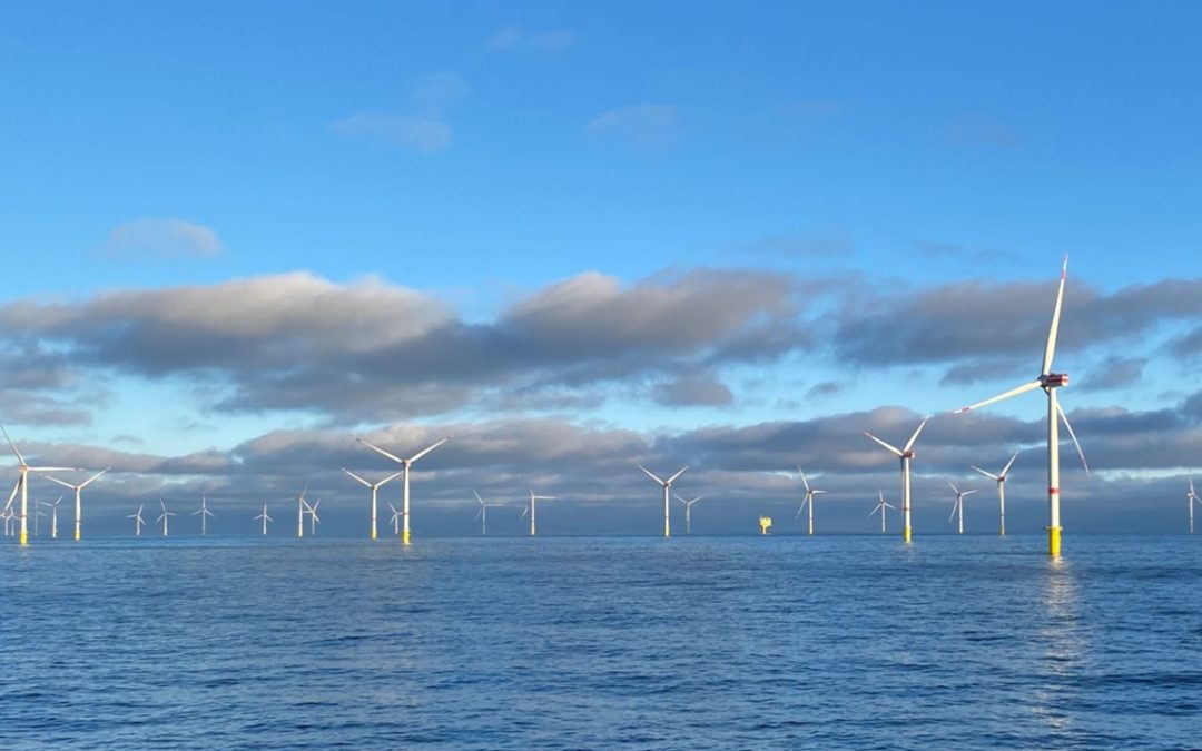 TotalEnergies Buys 50% Stake in Offshore Wind Farm from RWE to Power Green Hydrogen Production