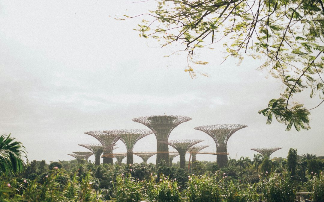 Singapore Delays Climate Reporting Requirements to Give Smaller Companies More Time to Prepare
