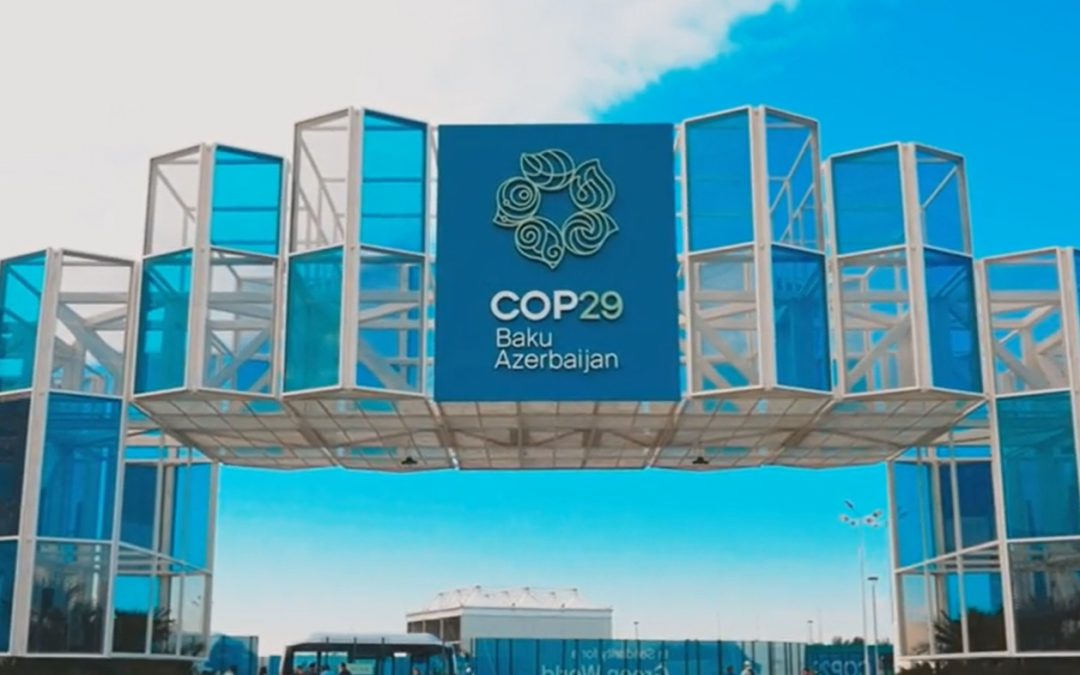 Breakthrough International Agreement Reached at COP29 to Advance Global Carbon Market