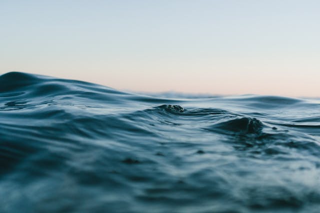 Planetary Signs $31 Million Ocean Carbon Removal Deal with Buyers Including Google, Stripe, H&M