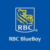 RBC BlueBay rides EM volatility to 21% return