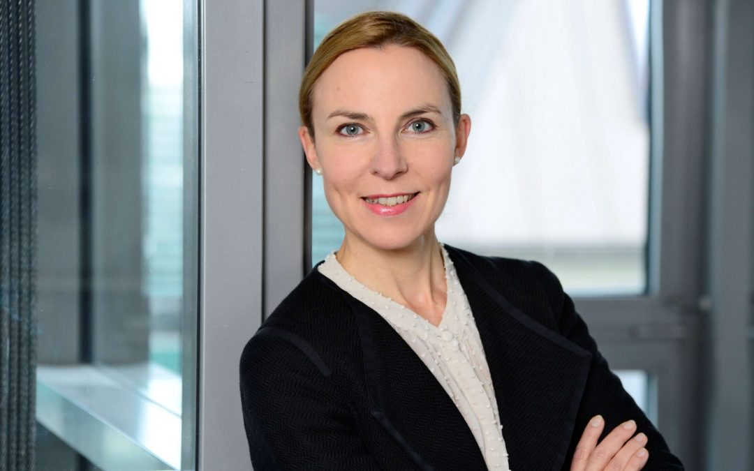 INTREAL setzt moderates Wachstum auch im Schlussquartal 2024 weiter fort