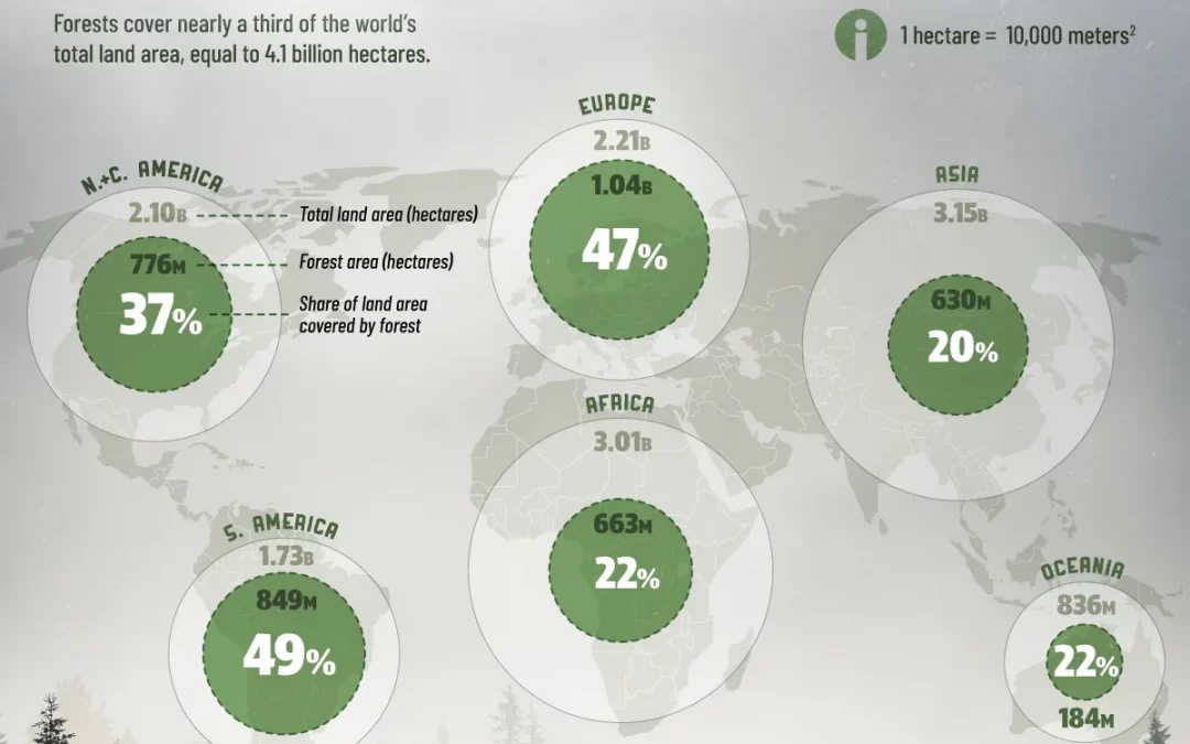 Which Regions Have the Highest Density of Forests?