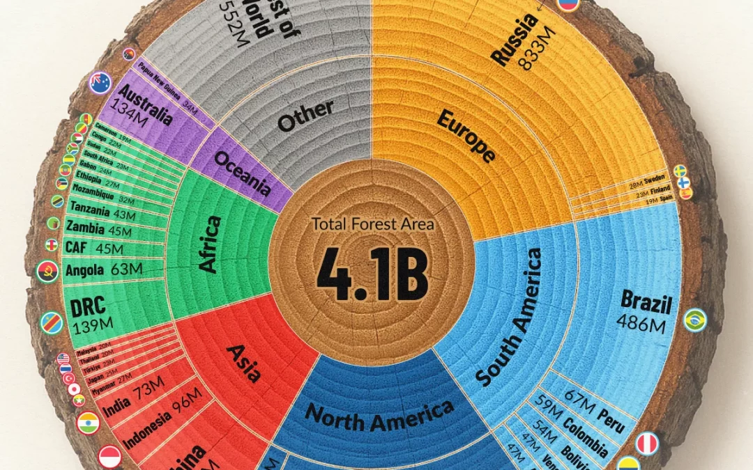 Ranked: Countries With the Largest Forests in 2025