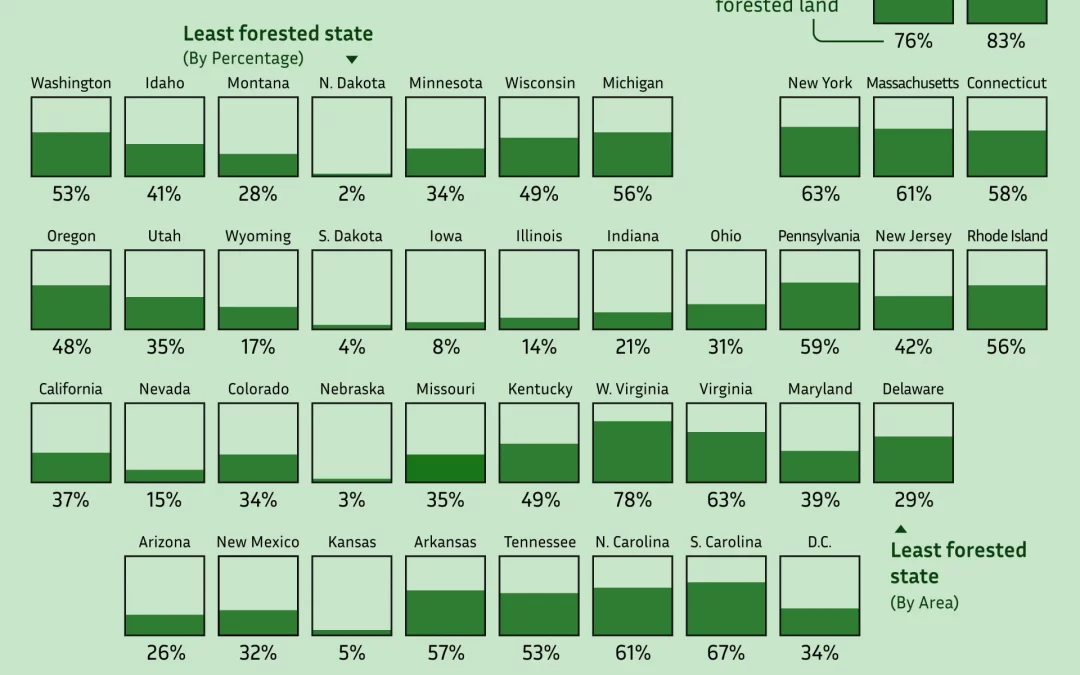 Visualized: Percentage of Forested Area in Every U.S. State