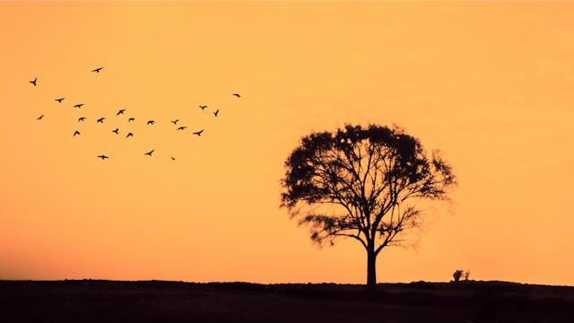 Egypt Signs $1.8 Billion in Renewable Energy Deals to Accelerate 2030 Clean Power Target