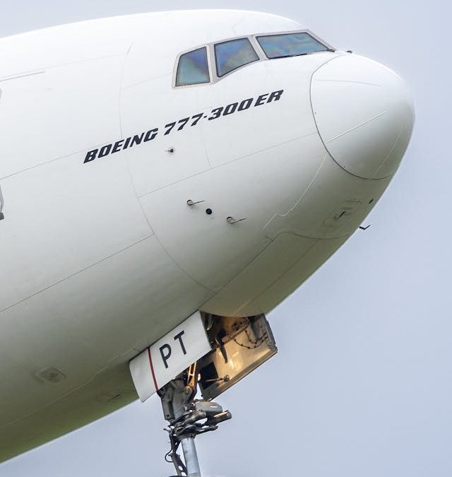 Boeing Buys 20,000-Ton Portfolio of Biochar, ERW Carbon Removals