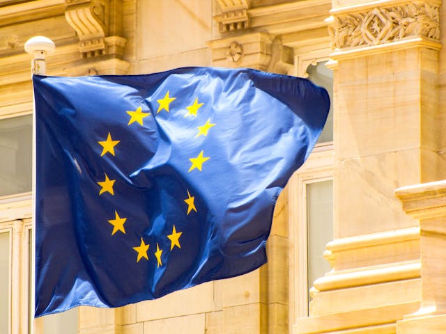EU Commission Says Simplification of EUDR Deforestation Law will Cut Costs for Companies by 75%
