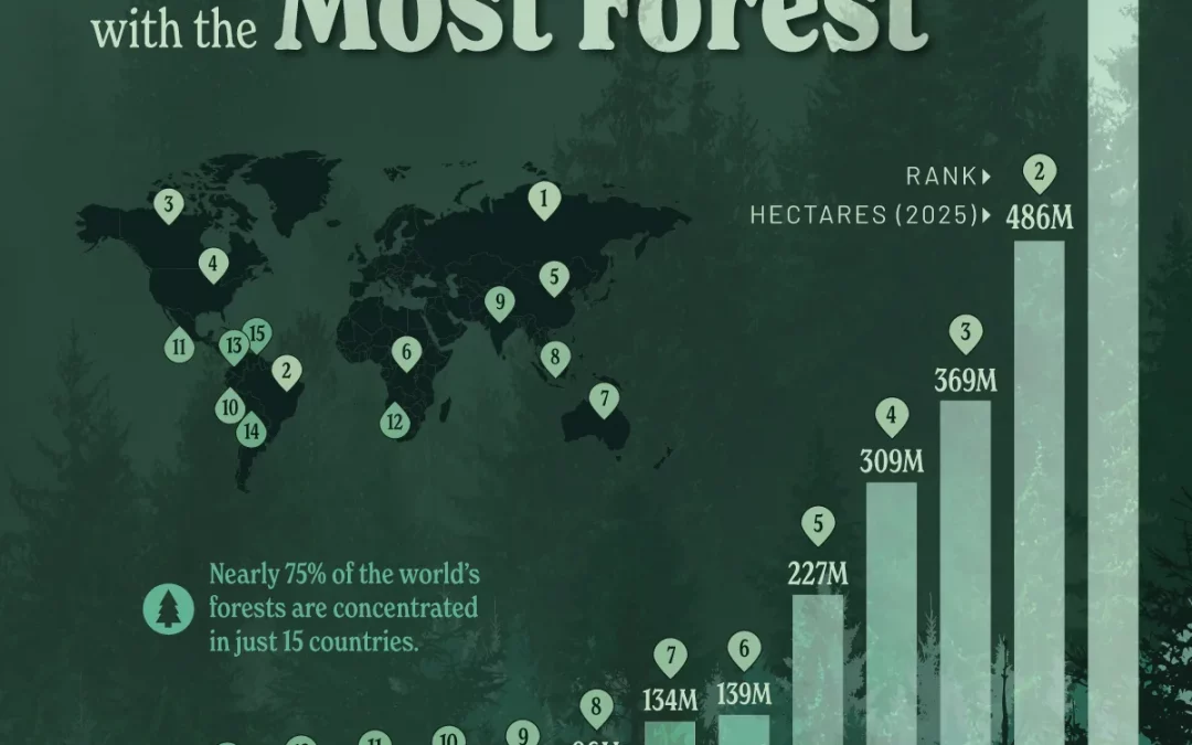 Ranked: The 15 Countries With the Most Forest