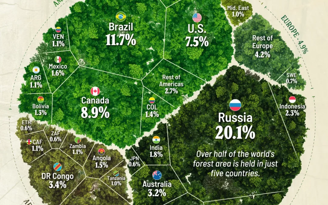 Ranked: Countries With the Largest Share of Global Forests