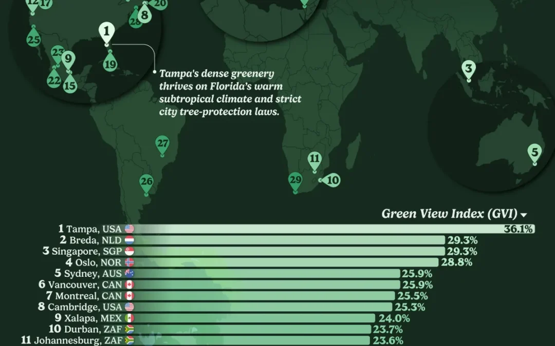 Ranked: The World’s Cities With the Most Tree Coverage