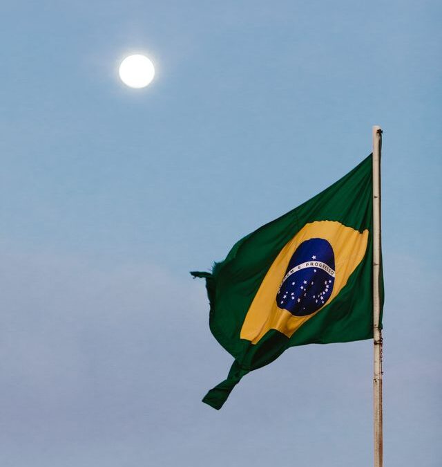 Brazil election rally boosts hedge funds
